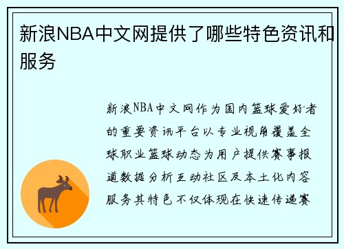 新浪NBA中文网提供了哪些特色资讯和服务